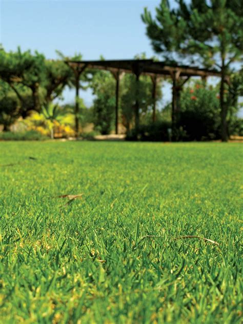 Gardening | Definition, Types, Tools, & Facts | Britannica