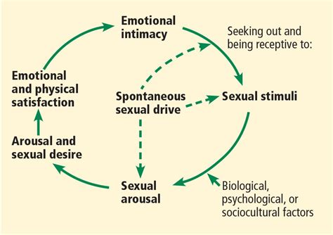 Sexual dysfunction in women: Can we talk about it? | Cleveland Clinic ...
