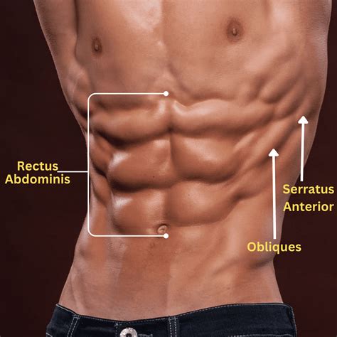abs exercises  stronger abs  fitfond medium