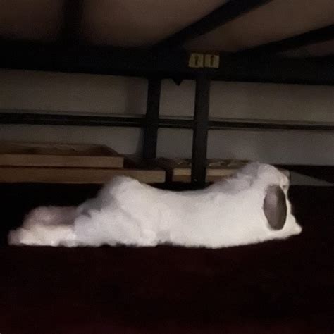 Bunny booty : r/OnlyBuns
