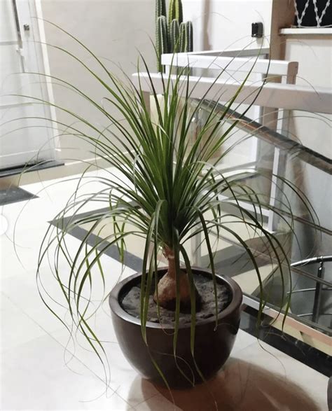 El zafiro: su poderoso significado espiritual te sorprenderá