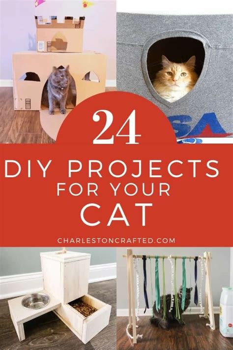 diy projects   cat