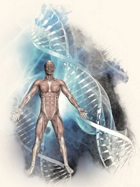 Dna helix with the human body Photo | Free Download