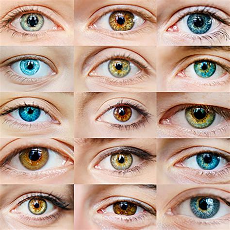 Yellow Green Eyes