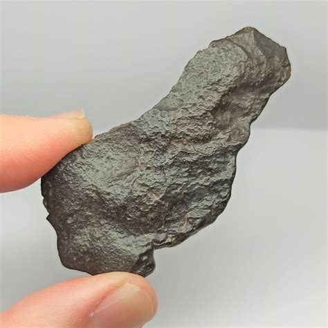 NEW CLASSIFICATION! Carbonaceous Chondrite CO3, NWA 15254. - Catawiki