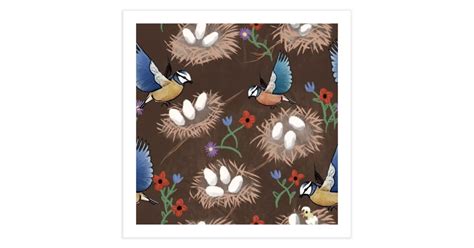 Blue tits and nests | Fine Art Print | Mattcorrigan's Artist Shop