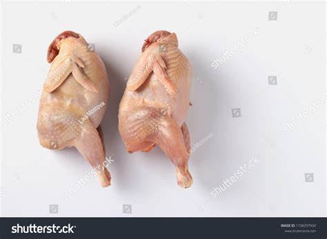 4,577 Raw quail meat Images, Stock Photos & Vectors | Shutterstock