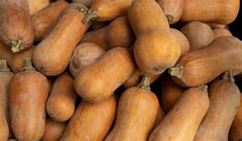 types  orange squash crate  basket