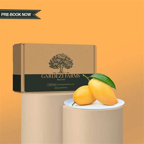 Chaunsa Mango - Buy the Best Quality Mangoes Online | Gardezi Farms Multan