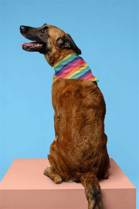 Gilbert Baker Pride Bandana - Vibrant Pride Clothing UK