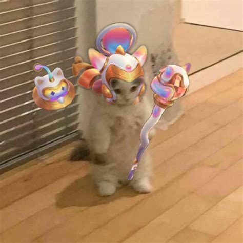 Lulu Cat Meme pfp : r/lulumains
