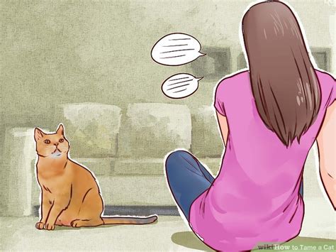 How to Tame a Cat (with Pictures) - wikiHow