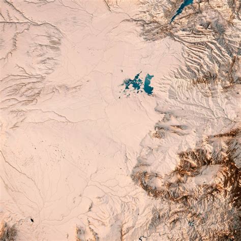 botswana kalahari desert stock  pictures royalty