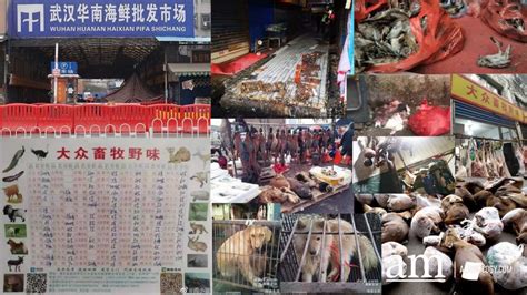 What the Wuhan Huanan Seafood Wholesale Market was like before the outbreak [WARNING: NSFW]