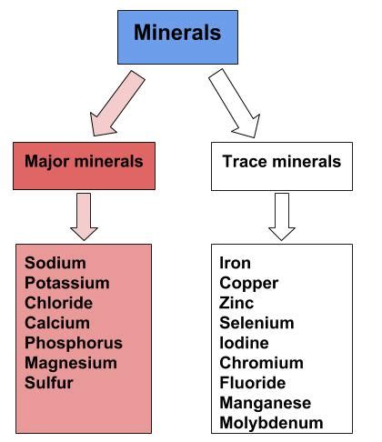 introduction  major minerals human nutrition