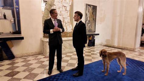 The Unseen Side Of The Elyse Palace Brigitte Macrons Impact On French Politics