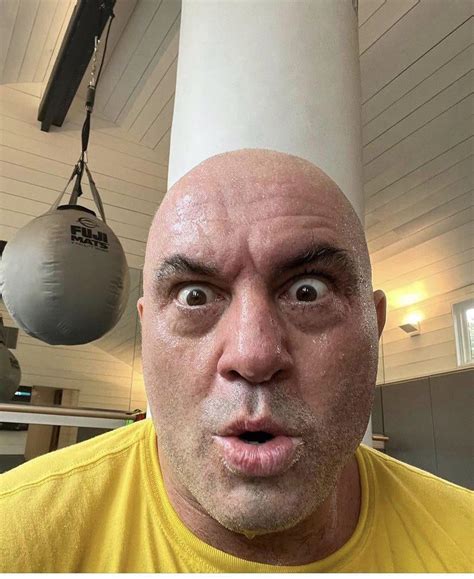 soyboy   top   charts    rthefighterandthekid