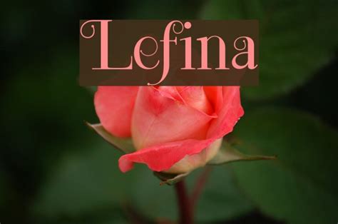 Lefina Font - FFonts.net