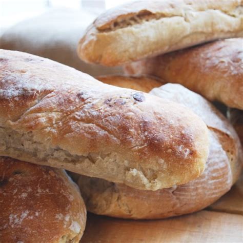 Panini Plain | Ciabattini