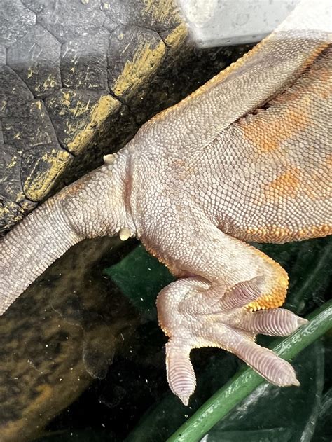 Female or male? Is it too early to tell still? | Scrolller