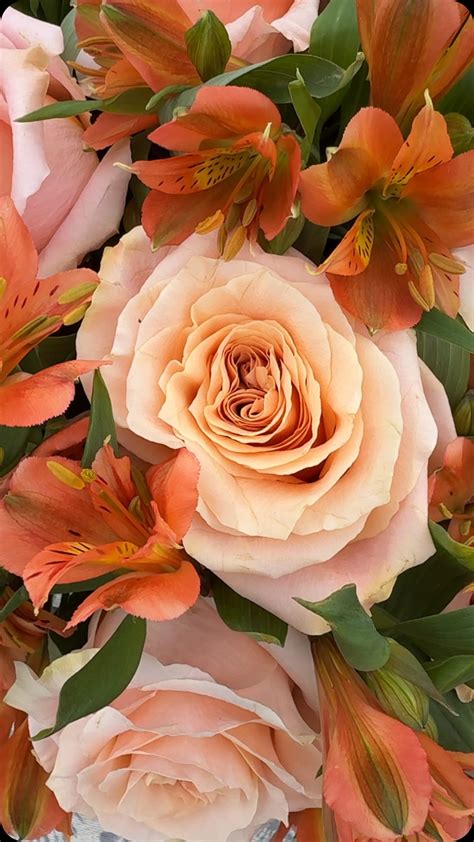 Using Some New 2025 Annuals in Projects! 🙌😍🌸 | Using Some New 2025