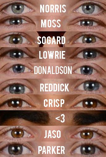 athleticswithnames cespedes family barbecue