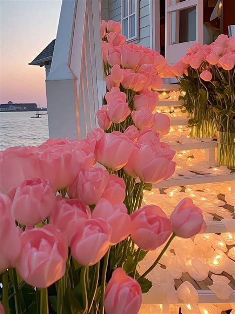 Pin de Rishima (Ánh sáng mặt trăng) en 1 2 3 4 5 Gì cũng coá trong đây ...