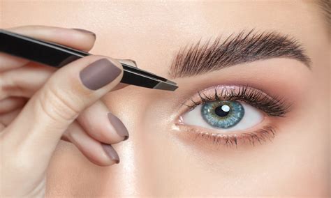 lash brow basics john academy