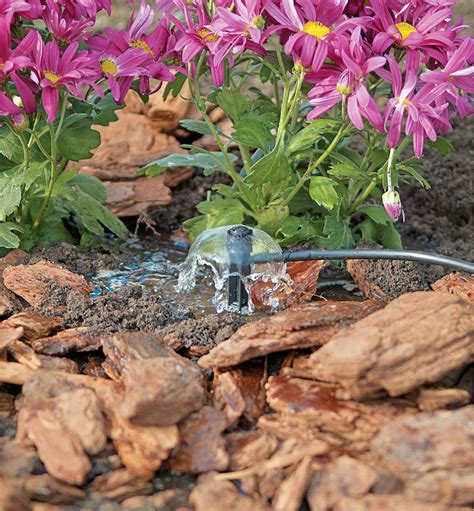 Quercia umidità estensione bubbler irrigation Testa professionale chiaro