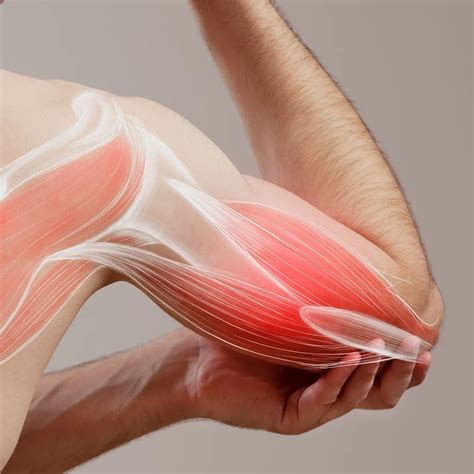 Enhancing Muscle Performance with Low-Level Laser Therapy: A New Front