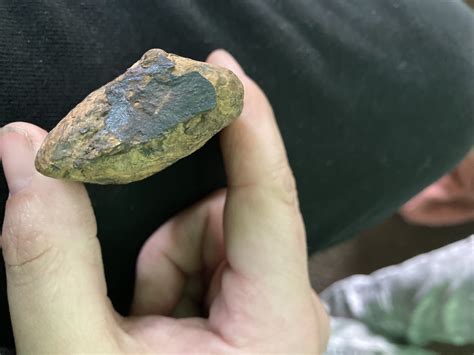 Southeastern Oklahoma - Fossil ID - The Fossil Forum