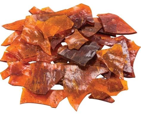 What is Shellac - You Won't Believe It - Pro Tool Reviews