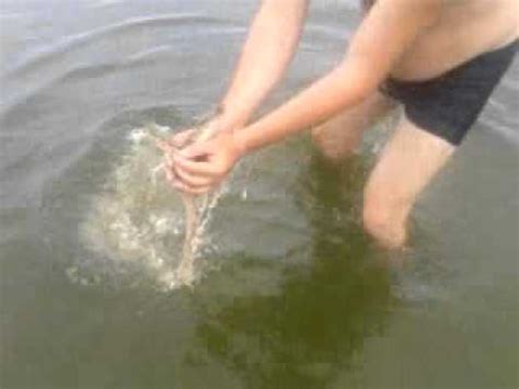 Аномалия на азовском море - YouTube