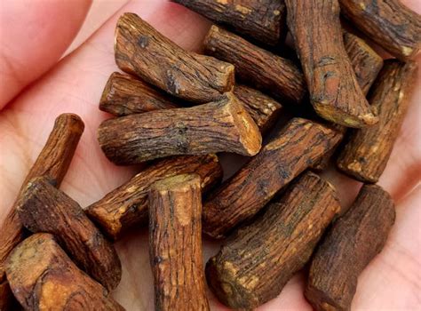 dandelion root    benefits  risks health facts time