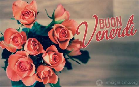 Buon Venerdì 28 giugno 2024: Frasi, immagini nuove del buongiorno ...