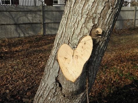 Why swan point cemetery providence is a must-visit for tourists 14