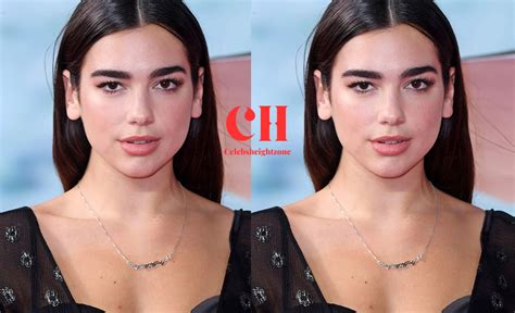 Dua Lipa Height and Weight - Celebsheightzone