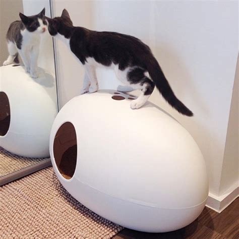 Туалет для кошки POOPOOPEEDO WHITE