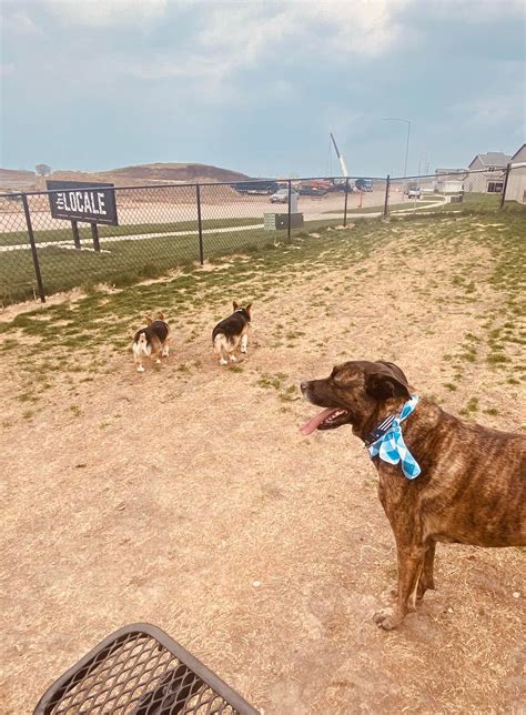 🐾 Spud, Nancy & Dale love the dog... - The Locale Sioux Falls