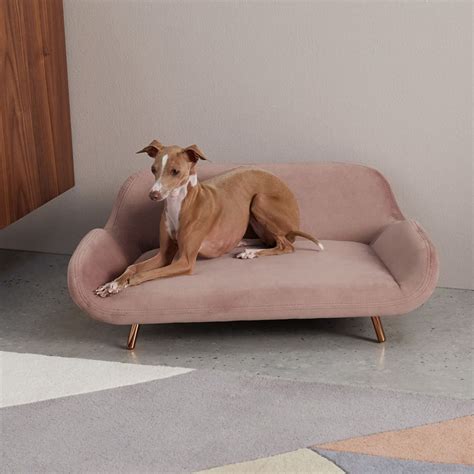 Best dog beds: 6 stylish buys, fit enough for your living room | Livingetc