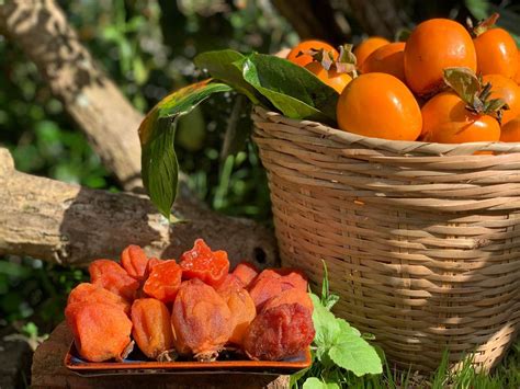 the persimmon season - Dining and Cooking