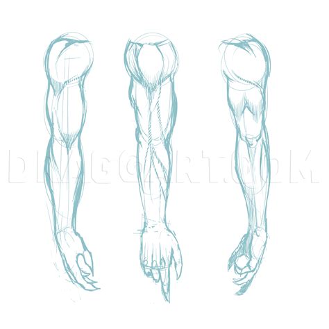how to draw a muscular 5