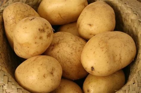Native Potato Starch, For Food, Packaging Size: 5 kg at ₹ 250/kg in Mumbai