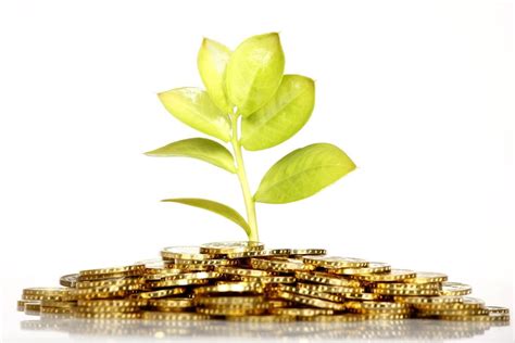 evolution  microfinance  africa feed  million mouths