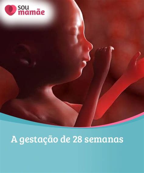 28 Semanas Atras Foi Que Dia - A gestação de 28 semanas Cada semana de gestação pode ser diferente ...
