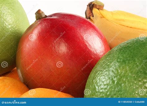 Colorful Fruits With Hand Drawn Illustrated Fruits Stock Image ...