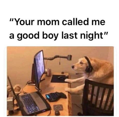 Your mom : r/memes