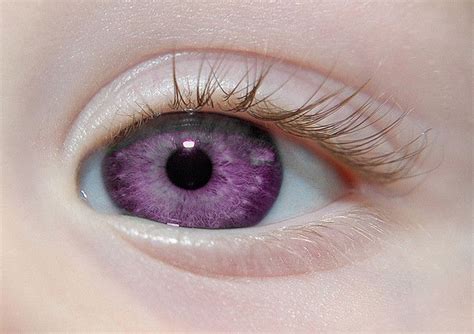 NO AESTHETIC | Violet eyes, Purple eyes, Beautiful eyes