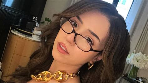 Pokimane’s Private Life: The Investigation’s Unexpected Twist - dde4ps0