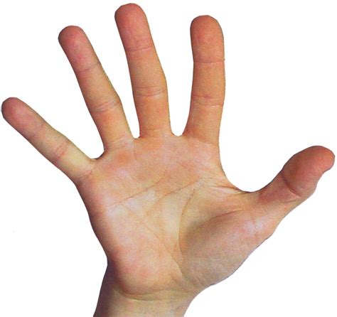 Fingers and Planets - Mark Seltman's Real Palmistry BlogMark Seltman's ...
